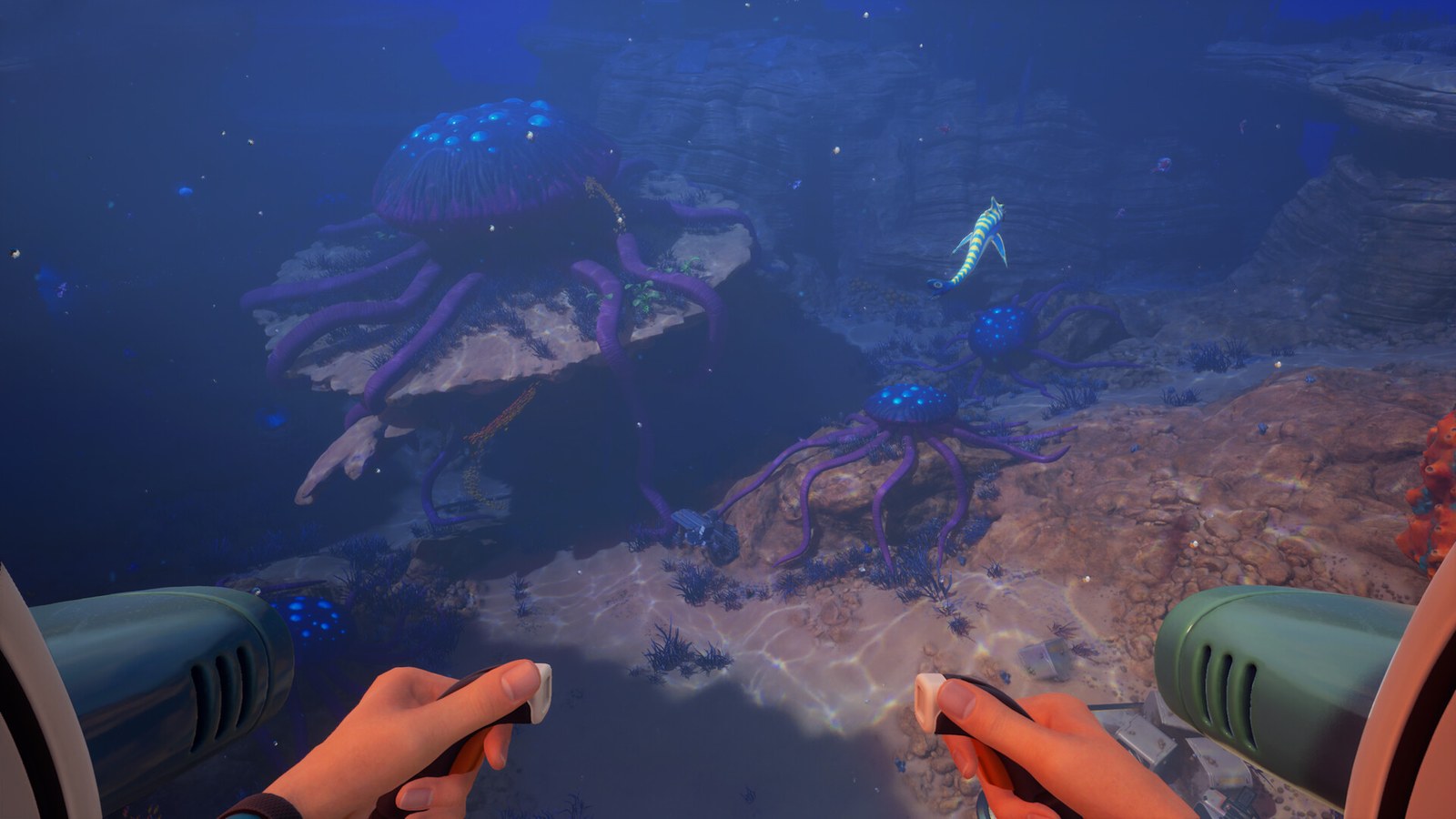 Subnautica 2 gameplay screenshot showing a diver looking across a deep biome.